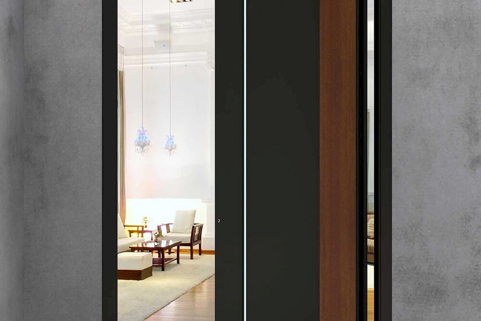 ΑΞΟΝΙΚΗ ΠΟΡΤΑ (PIVOT) - ΠΟΡΤΑ ΕΙΣΟΔΟΥ